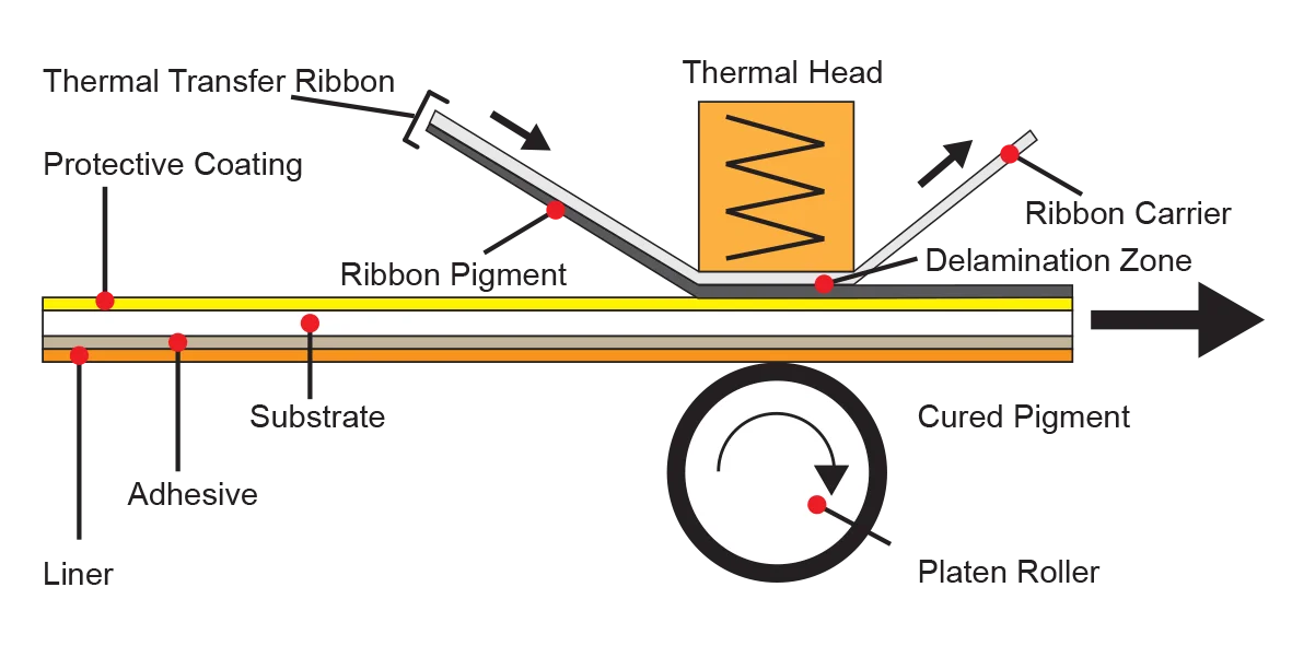 Thermal transfer printing infographic