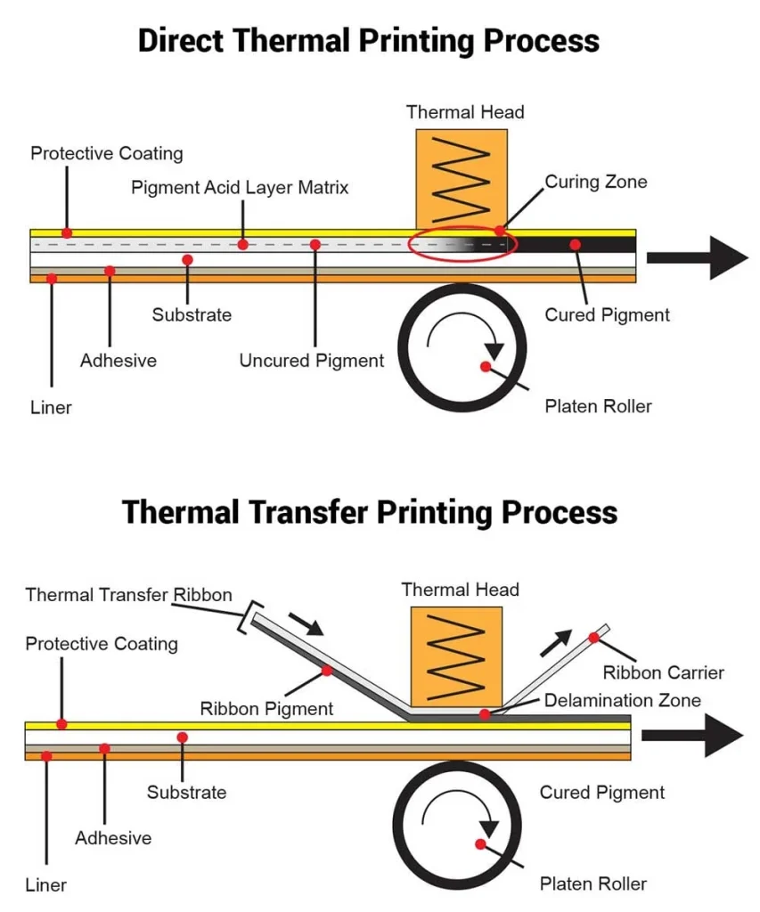 direct thermal v thermal transfer